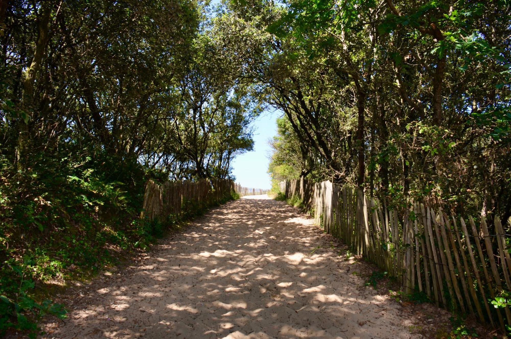 Camping Le Clos Des Pins Longeville-sur-Mer Exteriör bild